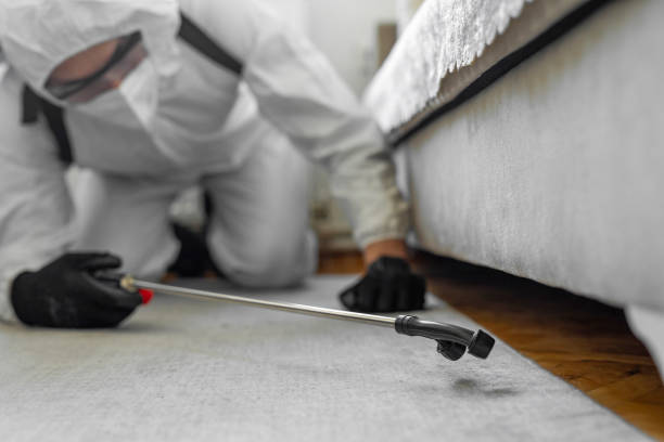 Professional Ant Control technician working in Franklin Park, FL