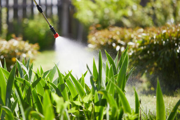 24/7 Emergency Ant Control experts in Franklin Park, FL
