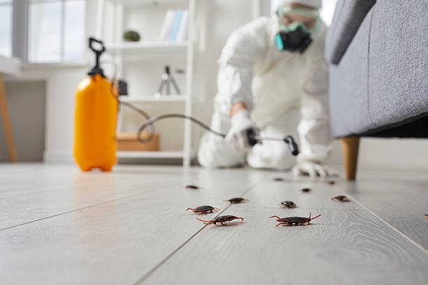 Trusted Fumigation Services service in Franklin Park, FL - Nex Pest Control