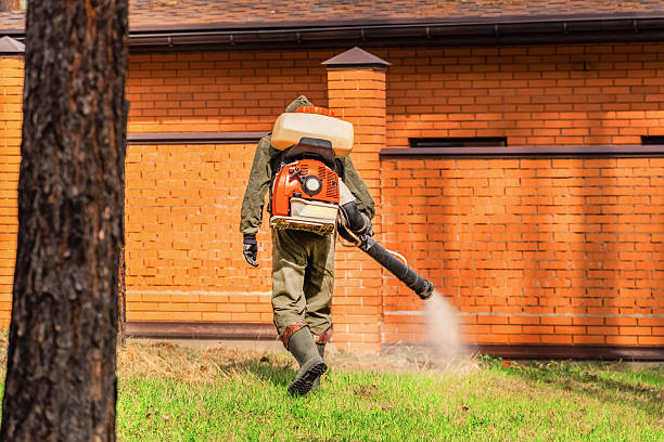 Trusted Termite Control service in Franklin Park, FL - Nex Pest Control